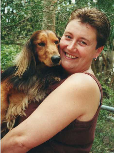 how to feel for kittens in a pregnant cat